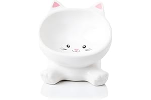 RAYTRUE-X Elevated Cat Bowls, Ceramic Raised Cat Food Bowl for Whisker Fatigue, Slanted Cute Kitten Food Bowl & Porcelain Water Dish, Anti-Vomiting, Protects Pet’s Spine