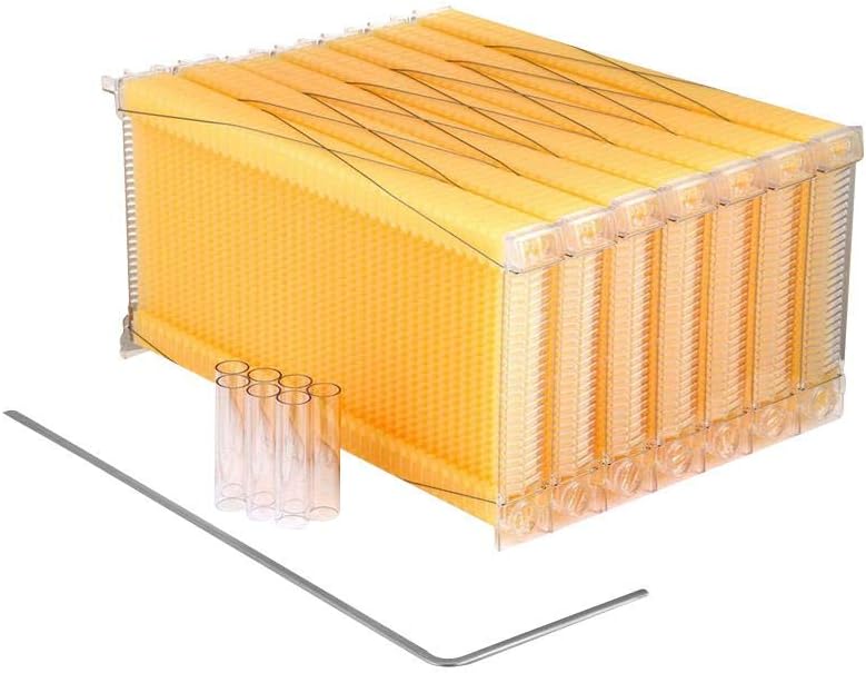 cuepar 7 Pieces Wax Fir Artesian Bee Box Beekeeping Tools Beehive Hive Frames with 7 Harvest Tubes and 1 Harvest Key for Beekeepers