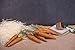 EverTrust Realistic Orange Foam Carrots Easter Oranment Rabbit's Gift Decoration Easter Party Home Decor (Pack of 8) (Jute Thread)