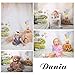 Fantasy Ballon Bear Photography backdrops for Baby Photo Studio Props Children Background Vinyl 5x7ft 4015