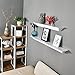 WELLAND 36-Inch White Corona Crown Molding Floating Wall Display Shelf