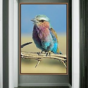 signwin Framed Canvas Wall Art Single Bird Birds...