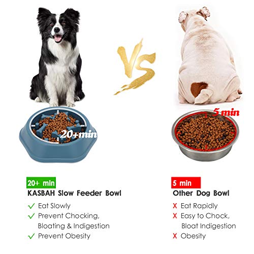 KASBAH Slow Feeder Dog Bowl, Puzzle Dog Food Bowl Anti-Gulping Interactive Dog Bowl and Water Dog Bowl for Small/Medium Sized Dogs, Blue, 1.5 Cups/ 12 Oz