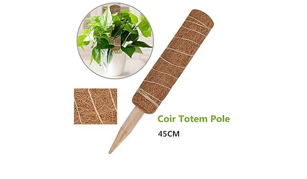 Tótem de Coco de 45 cm, Postes de Soporte para Plantas trepadoras ...