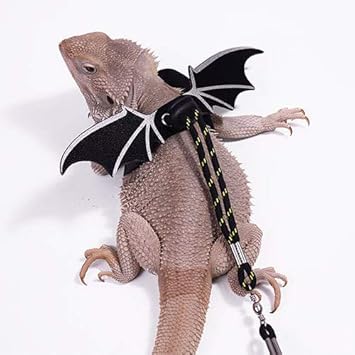 fluker's repta leash