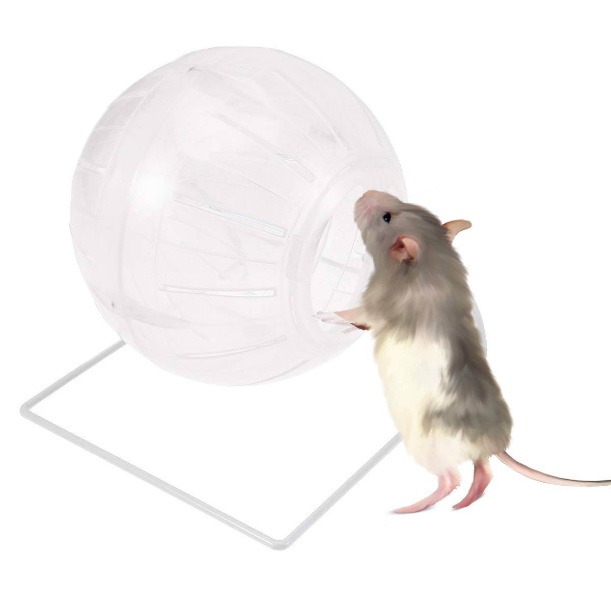 POPETPOP Hamster Exercise Ball,4-in-1 Multifunctional Hamster Running Ball-Hamster Mini Ball for Dwarf Hamster,Mouse,Syrian Hamster Ball with Stand-Clear