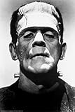 Merchandise 24/7 Frankenstein 1931 Boris Karloff 36x24 Black and White Movie Art Print Poster Wall Decor Photograph Famous Classic Hollywood Film