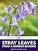 Stray Leaves from a Border Garden by Mary Pamela Milne-Home