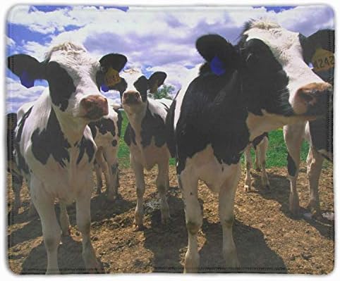 Natural Rubber Mouse Pad Printed with Big Cow 11.8-inch by 9.85-inch