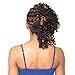 4 Pack Deal ISIS Synthetic 100% Kanekalon Braid A Fri-Naptural Definition Braid (2)