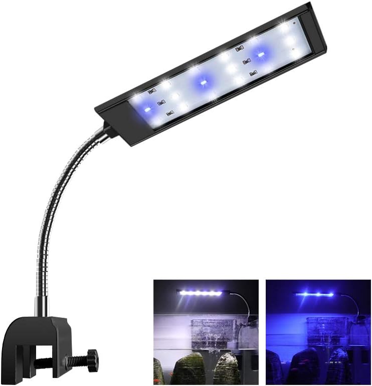Best Mini-Reef Led Lighting