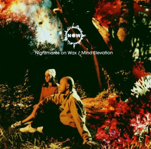 Album Art for Mind Elevation by Nightmares on Wax