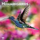 Hummingbirds 2020 12 x 12 Inch Monthly Square Wall Calendar with Foil Stamped Cover, Animals Wildlif by 