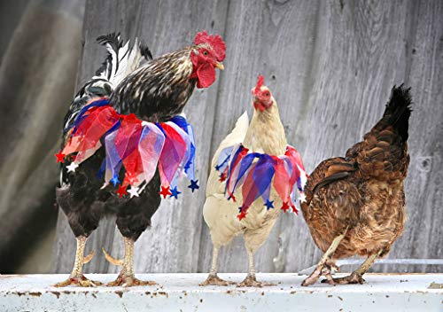 2 collares de pollo para gallinas, soporte para elecciones
