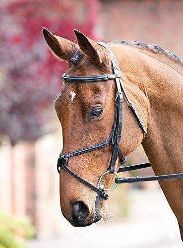 Shires Rossano Grackle Bridle with Reins-Havana Full