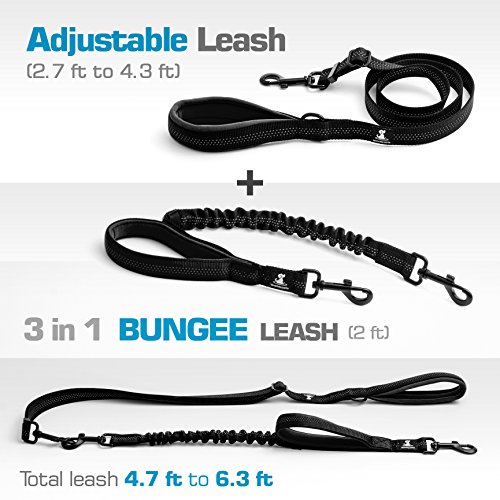 SparklyPets FLASH SALE | Adjustable Leash and 3 in 1 Shock-Absorbing Bungee Extension Set – Heavy Duty Dog Leash for Medium and Large Breeds Made from Durable Nylon – Reduces Pulling Shocks - Black - Thumbnail 2