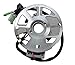 shamofeng Magneto Stator for Polaris ATV Scrambler 90 2001-2003 Sportsman 90 2001-2006 Predator 90 2003-2006 Replaces Polaris 0450523, 0451000