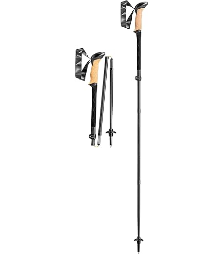 Amazon.com : LEKI Nordic Walking Ultra ALU Carbon HTS 6.0 Series