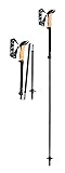 LEKI Black Series FX Carbon Collapsible Lightweight