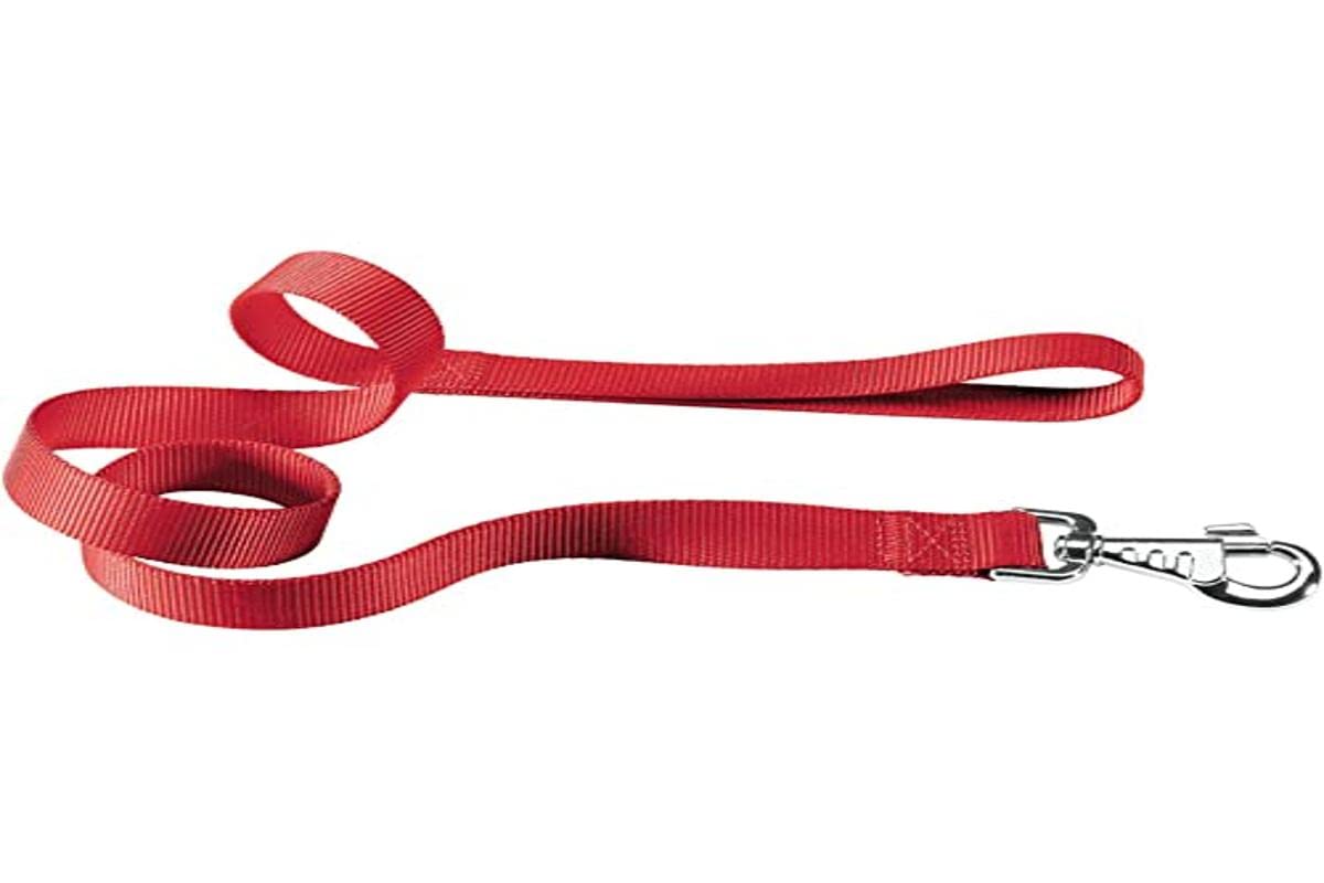 Ferplast Haustier Produkte Club G15 Nylon Lead 15 mm x 120 cm Red 15 mm x L 120 cm