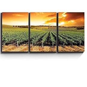 3 Piece Canvas Print - Contemporary Art, Modern Wall Art - Gorgeous Sunset Over Vineyard - Giclee Artwork - Gallery Wrapped Wood Stretcher Bars - Ready to Hang 16"x24"x3 Panels