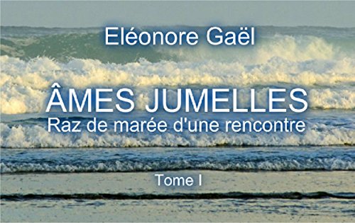 AMES JUMELLES: Raz de marée d'une rencontre. (French Edition) by Eléonore GAEL
