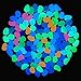 YuCool 220 Pcs Glow in The Dark Garden Pebbles Stones, Pebbles Rocks for Garden Walkways Outdoor Path Patio Lawn Yard Fish Tank Decorations - Blue, Light Blue, Green, Orange, Rose Red