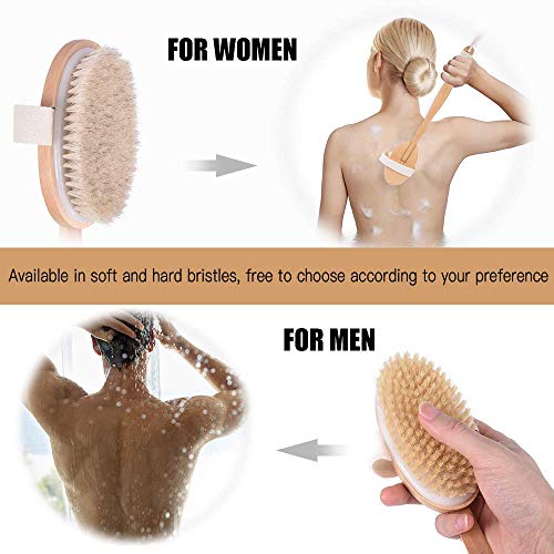 2pcs Shower Brush Bath & Dry Skin Body Brushing, Back Scrubber with Anti-slip Long Detachable Wooden Handle, 100% Natural Bristles, Perfect for Exfoliating, Detox and Cellulite, Blood Circulation - Thumbnail 5