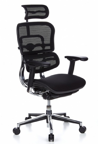 Sedia-Girevole-Ergohuman-Sedile-Tessuto-Schienale-Netto-Nero