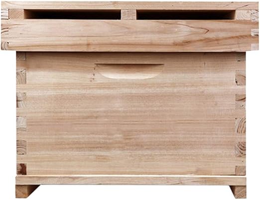 kzy - Caja de extensión para Abejas de Abeja China, 7 Marcos: Amazon.es: Jardín