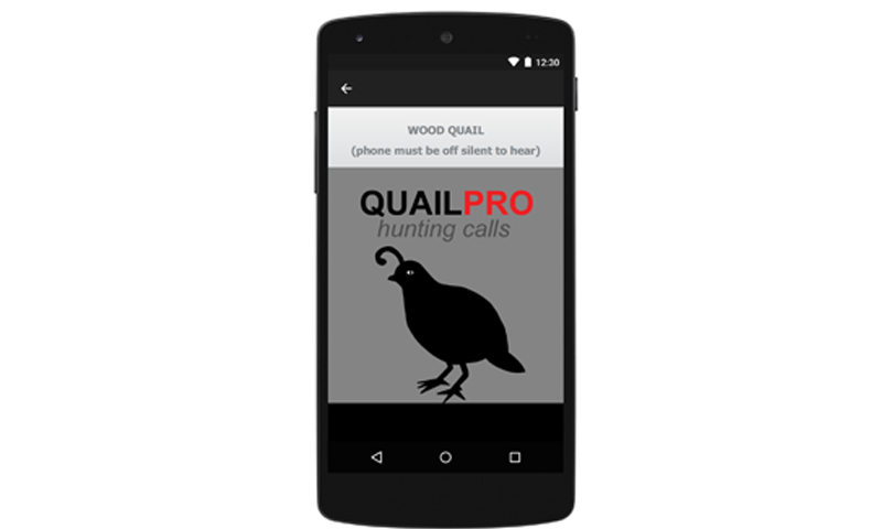 REAL Quail Sounds and Quail Hunting Calls - Thumbnail 3