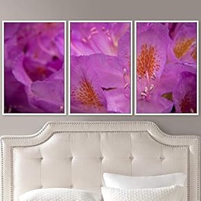 signwin 3 Piece Framed Canvas Wall Art Colorful...