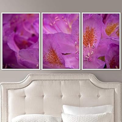 signwin 3 Piece Framed Canvas Wall Art Colorful...