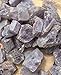 ALEXCRAFT Wholesale Natural Amethyst Crystal Pendant 10 PCS Hexagonal Healing Reiki Quartz Stones Bulk for Jewelry Making