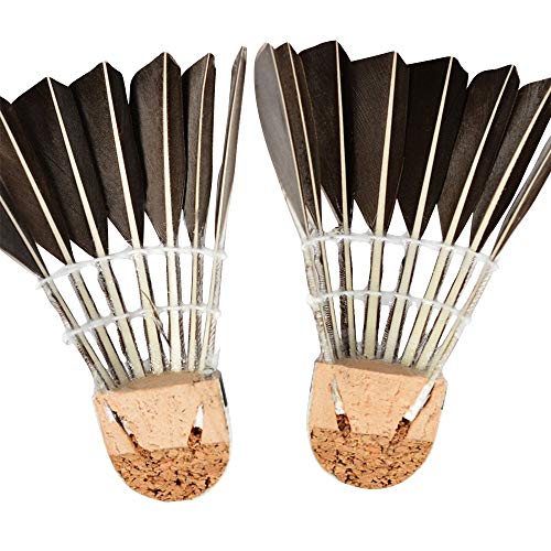WHIZZ Badminton Shuttlecocks,12-Pack Goose Feather Badminton Birdies Balls with Great Stability and Durability for Indoor/Outdoor Sport Training Games, Black