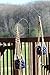 Ashman Double Span Black Deck Hook (2 Pack), 46-Inch Length, Super Strong and Ideal for Bird Feeders, Plant Hangers, Coconut Shell, Hanging Baskets, Lanterns, Wind Chimes and More!