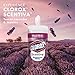 Clorox Scentiva Disinfecting Wipes Value Pack, Bleach Free Cleaning Wipes - Tuscan Lavender & Jasmine, 140Count