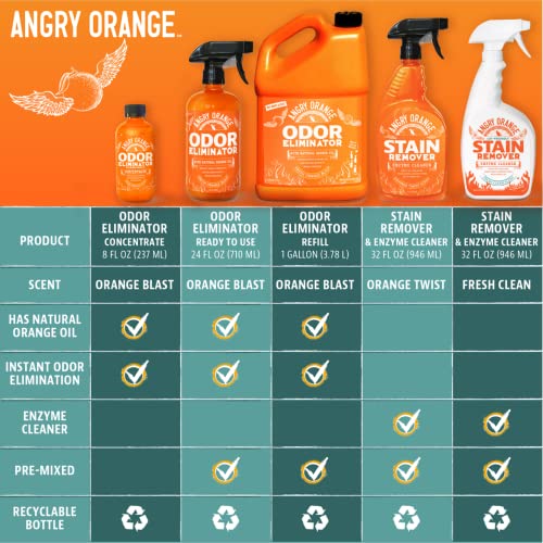 ANGRY ORANGE Cat Urine Odor Eliminator & Stain Remover Stain Cleaner