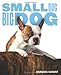 Small Dog, Big Dog by 