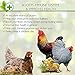 PICKY NEB Dried Mealworms 100% Non-GMO 30 Oz - Mealworms for Birds, Chickens, Ducks - Perfect High-Protein Treats - Whole Large Meal Worms, Dried for Chickens and Bluebird Food Bulk