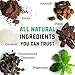 Tom & Luke Healthy Snack Balls - Delicious Dark Mint Chocolate Snacks for Adults, 6 Packs of 8 Balls (3.1 oz each pack)