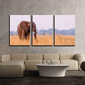 3 Piece Canvas Wall Art - African Elephant Feeding in a Savannah Flood Plain - Modern Home Art Stretched and Framed Ready to Hang - 16"x24"x3 Panels
