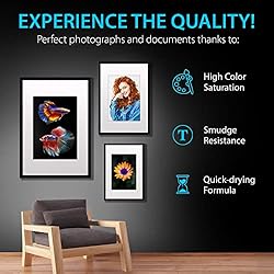Smart Ink Compatible Ink Cartridge Replacement for