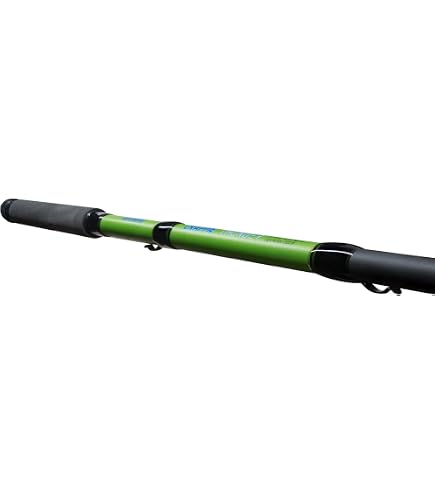 10 fly fishing rod MAVERICK Fly Fishing Rod 10 Weight, 9ft