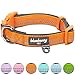 Blueberry Pet Soft & Safe 3M Reflective Neoprene Padded Adjustable Dog Collar - Orange Peel, Large, Neck 18