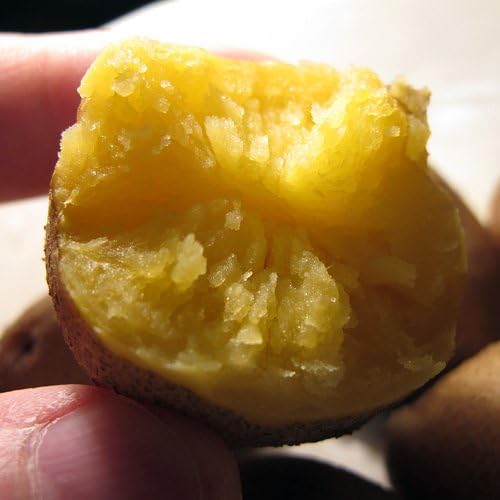 Amazon 北海道産 簡単レンジでチン 北海道産 インカのめざめ 500g 4袋 冷凍食品 加熱調理済み 無添加 冷凍野菜 北海道産冷凍 インカのめざめ 冷凍野菜 通販