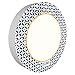 Dixie Ultra Disposable Paper Plates, 10-1/16 in. Dinner Size, Printed, 176 Count