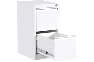 Reemoon Metal File Cabinet with Lock, Drawers Vertical Filing Stoage Cabinets for Home Office, Small and Narrow Filing Cabinet for Hanging Letter/Legal/A4 Folders (White, 2 Drawers)