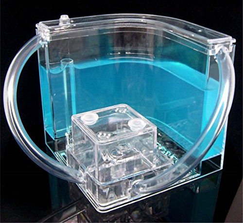 BleuMoo Advanced Ant Nursery Farm Maze Blue Gel Live Ant Habitat With Feeding