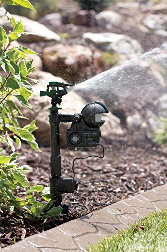 Orbit Enforcer Sprinkler - Image 2